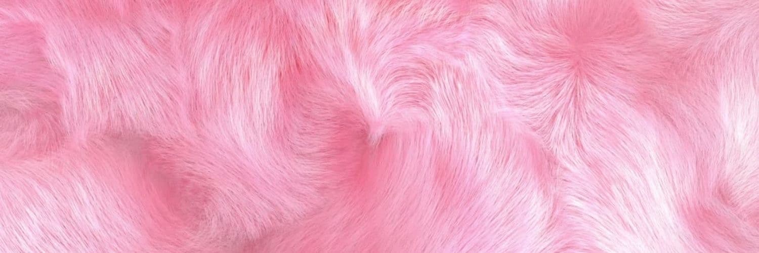 OnlyBunnies 🐰 banner image