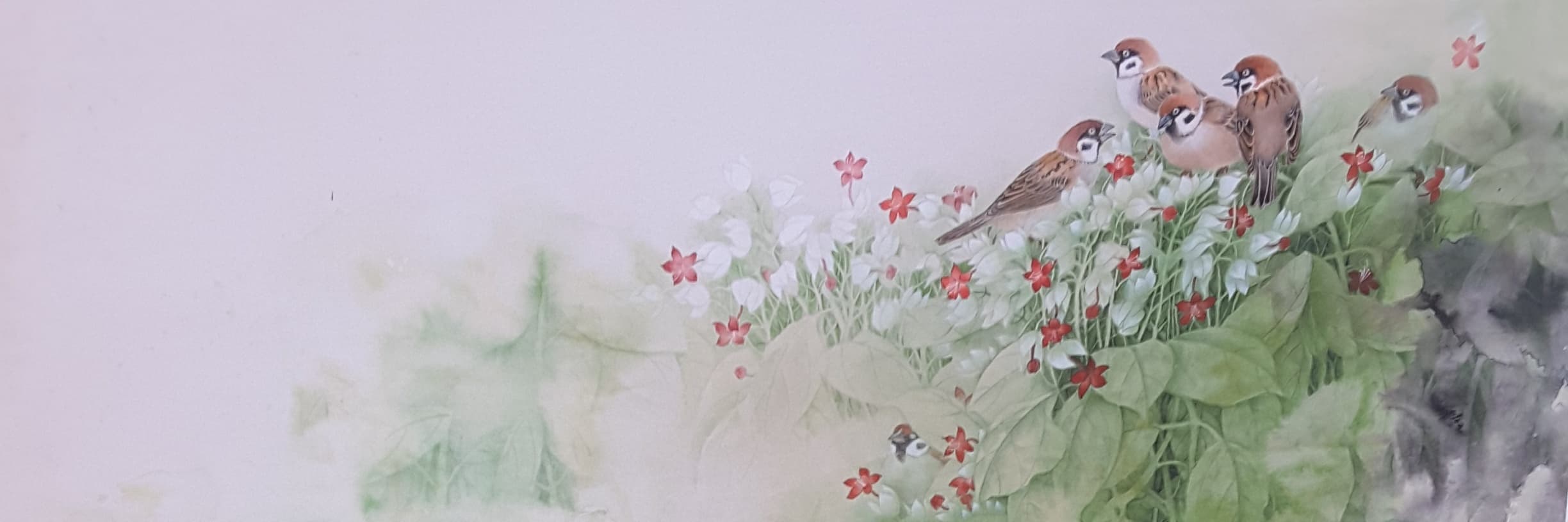 Kittikun banner image
