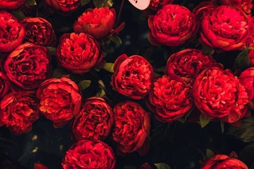 MsKatieReed banner image