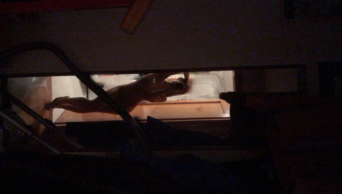 your_kitty banner image