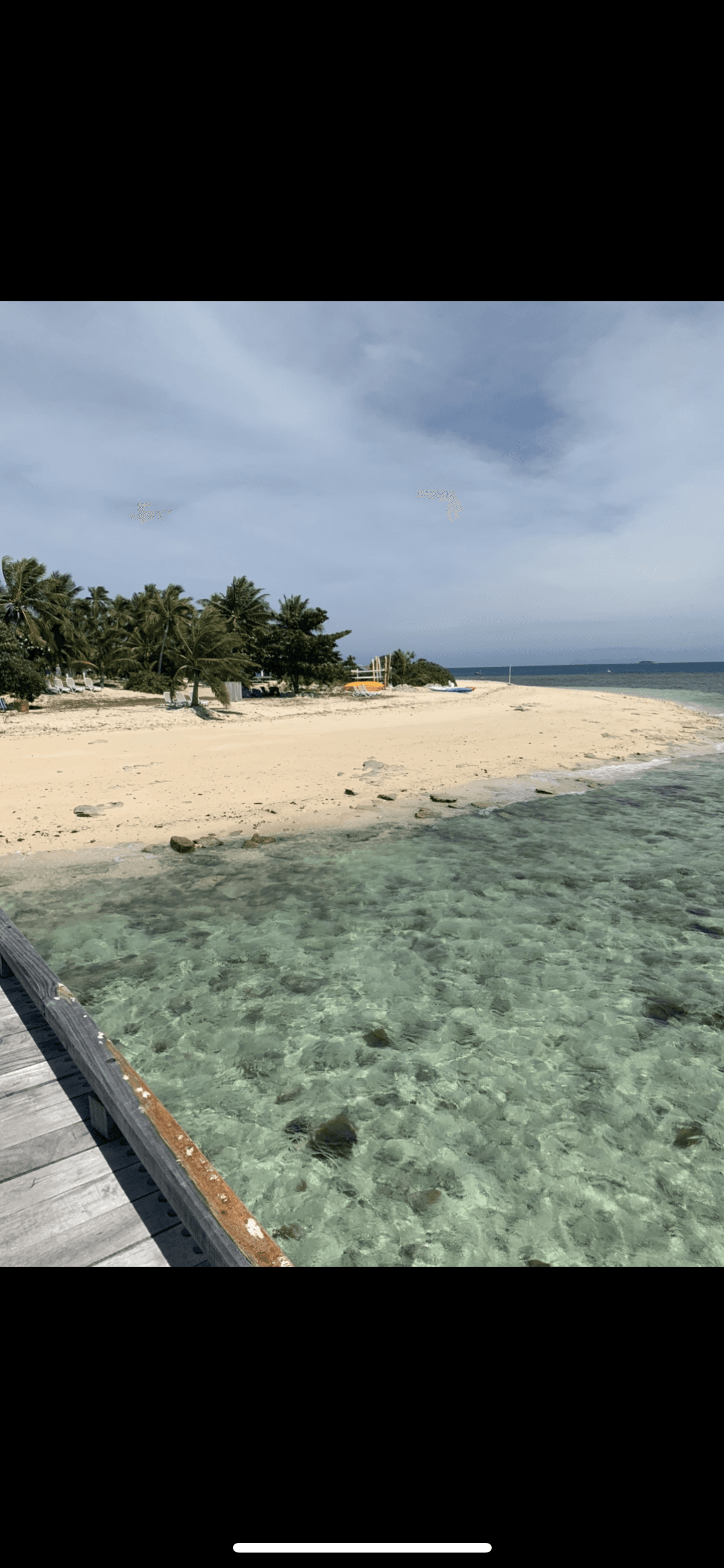 kk banner image