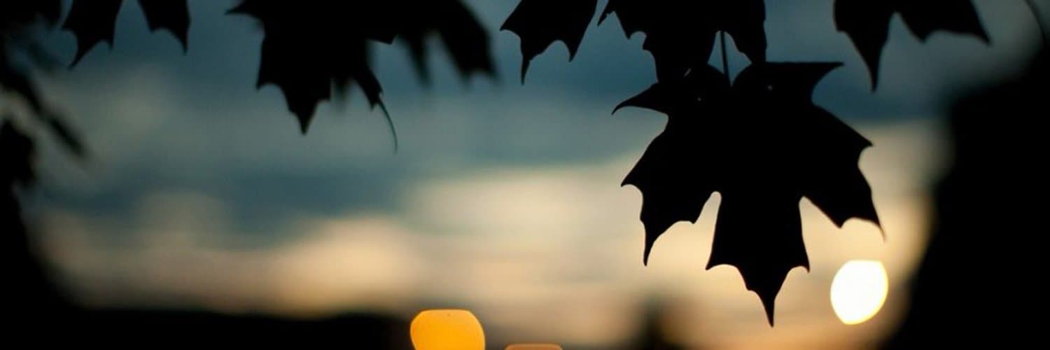 Mauricio Terrazas banner image