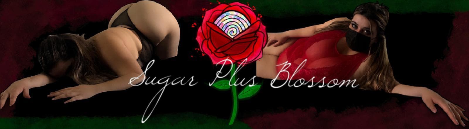 Sugar PLUS Blossom banner image