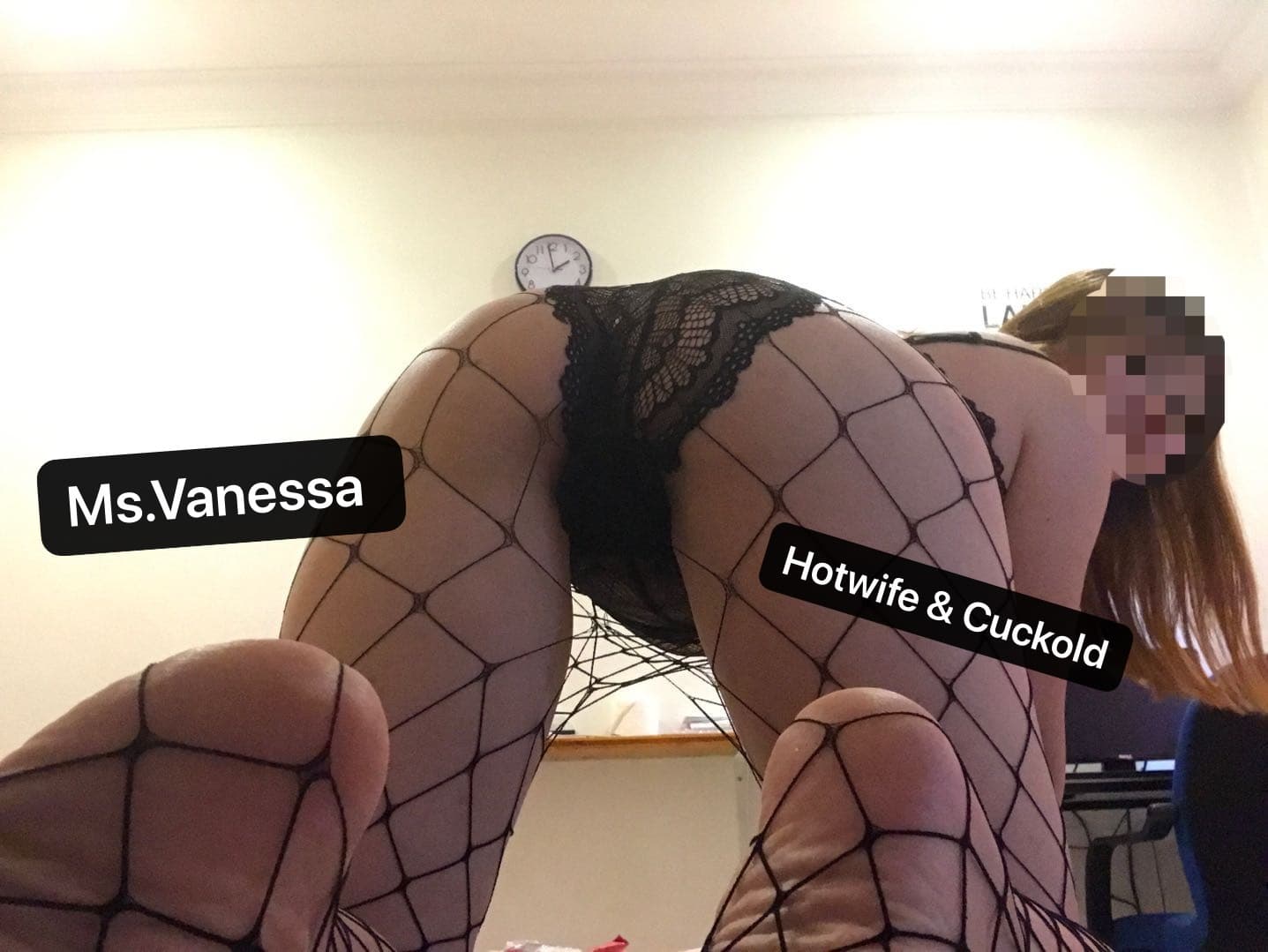 Vanessa_Sg banner image