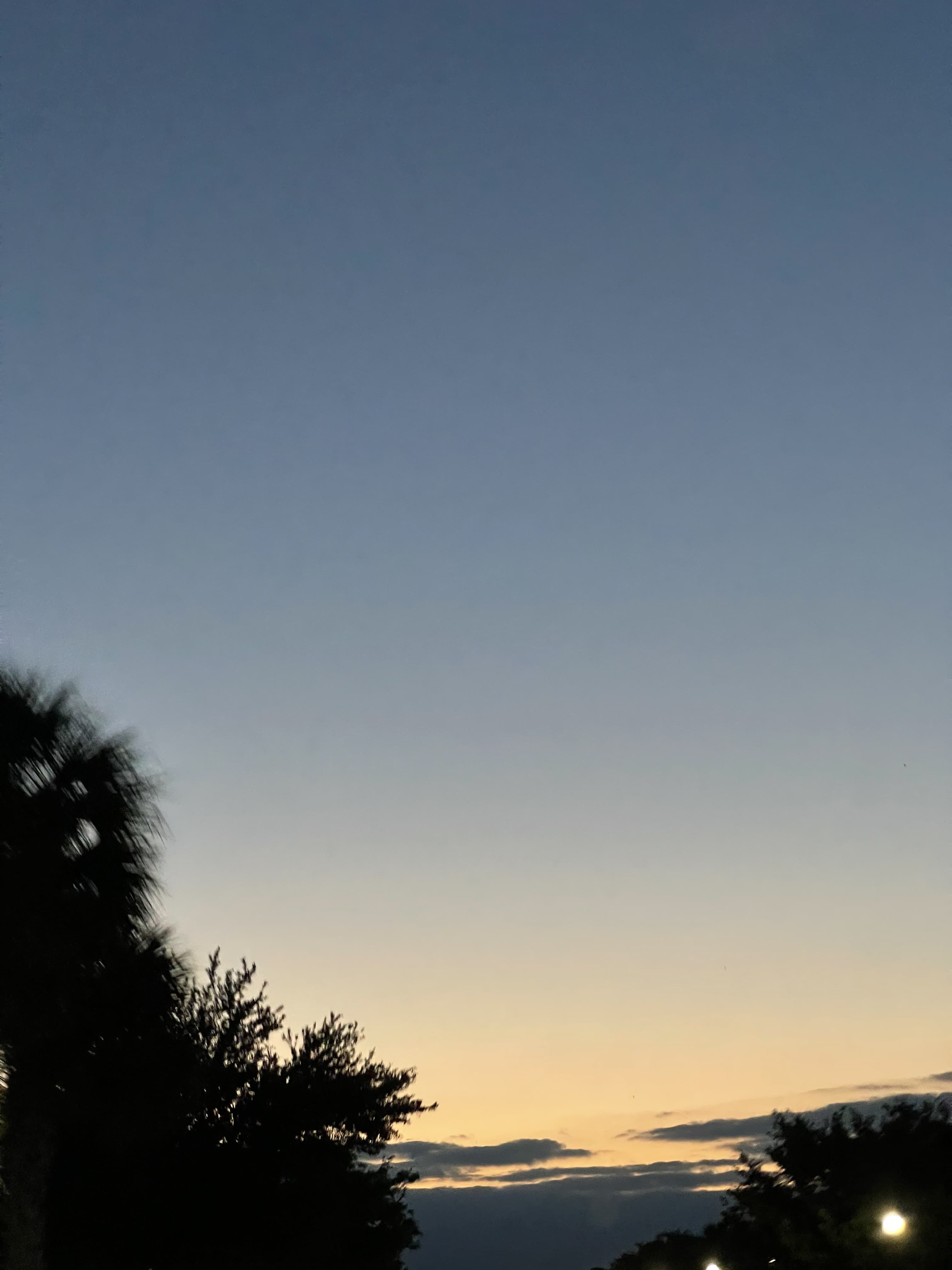 Randy Sablon banner image