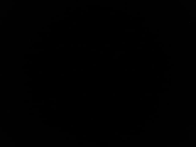 Dany Gomes banner image