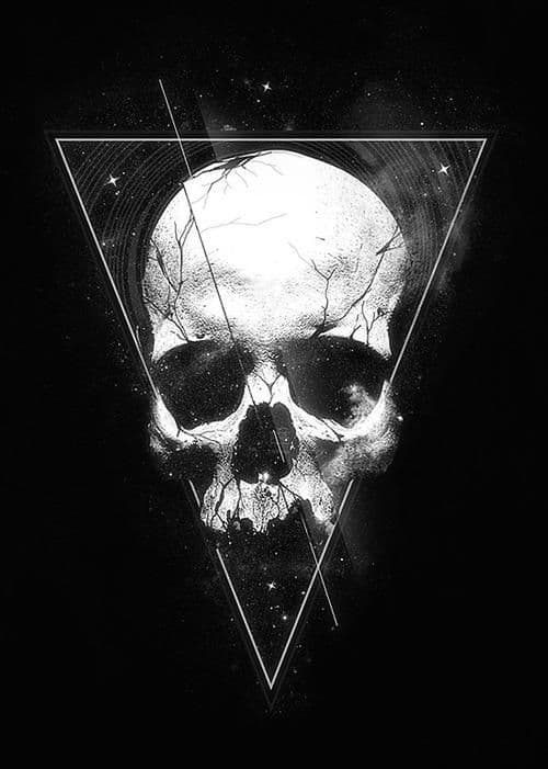 Nocturnal 😏 banner image