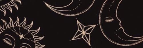 Rose banner image