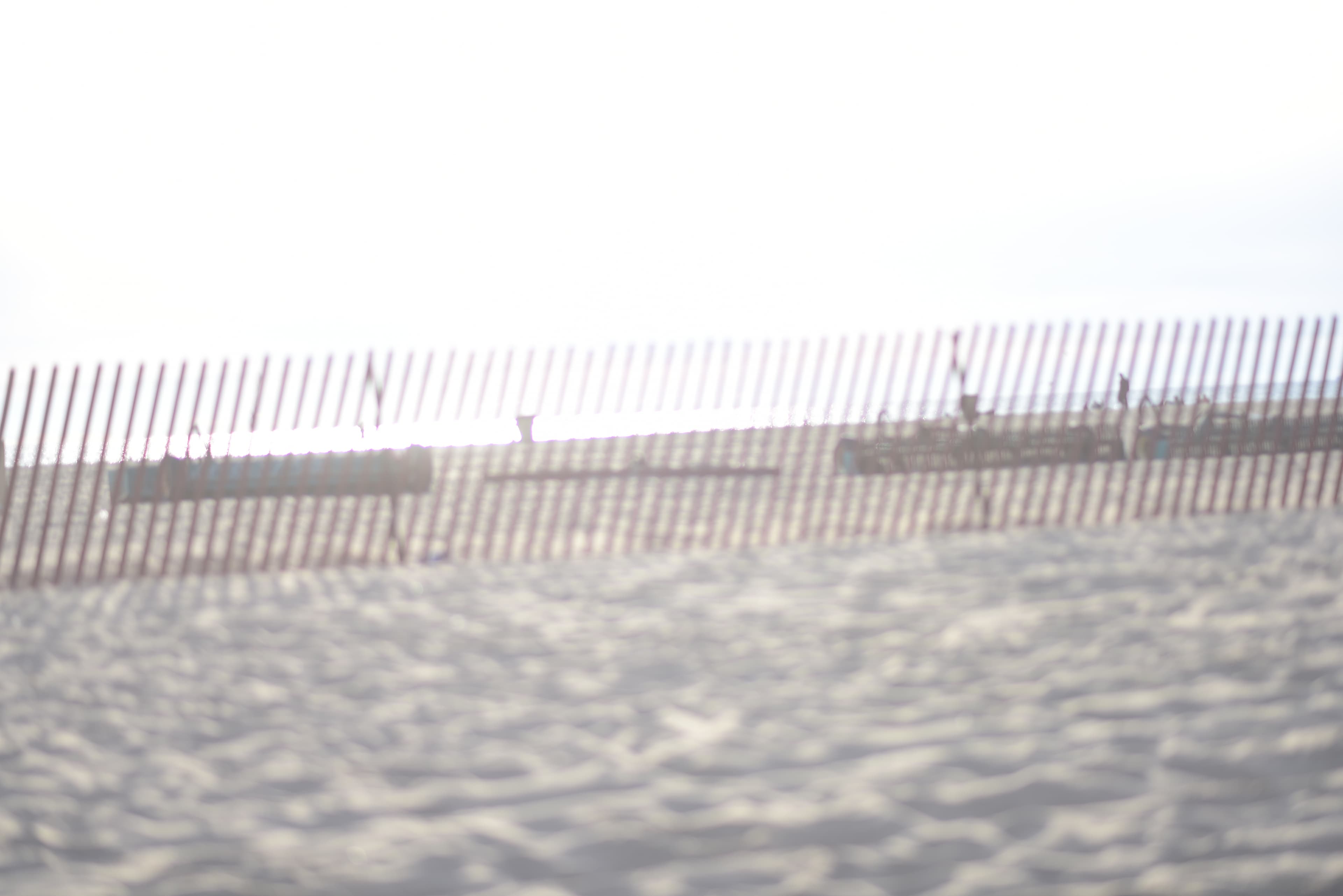 Dominique Rystan banner image