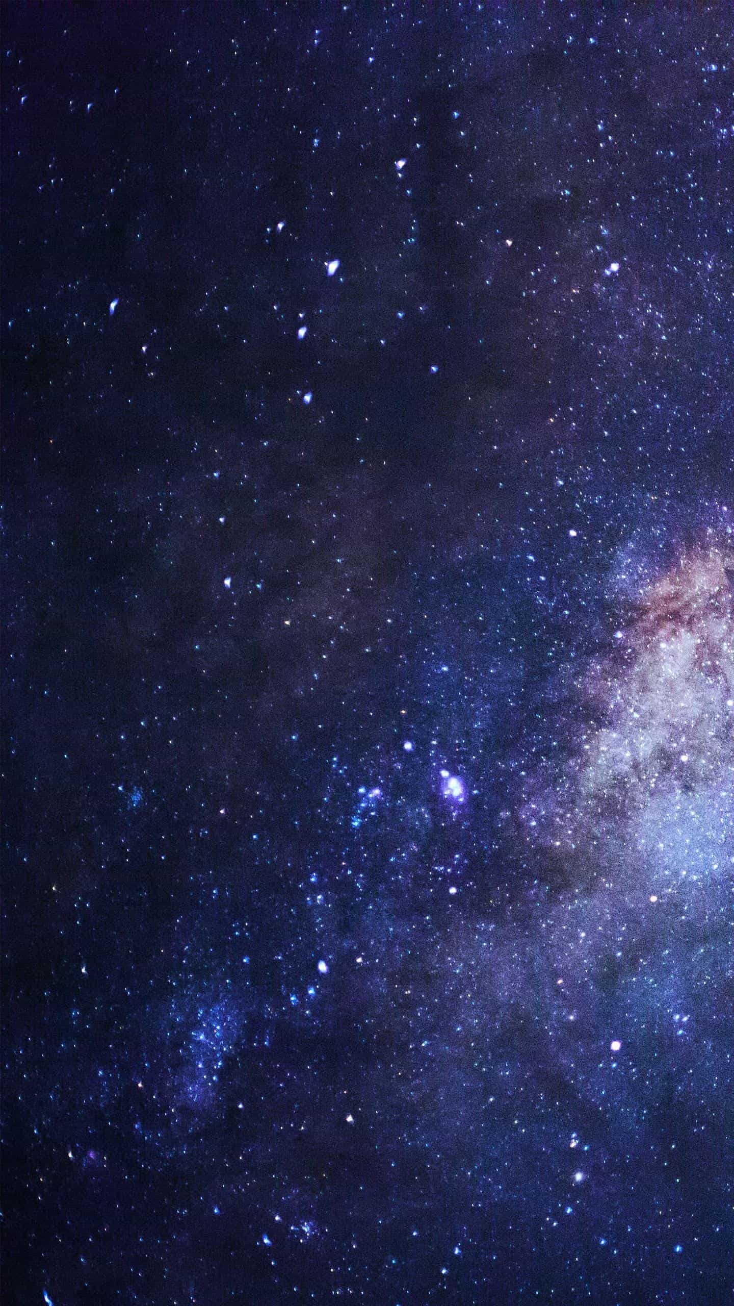 SamanthaZ banner image