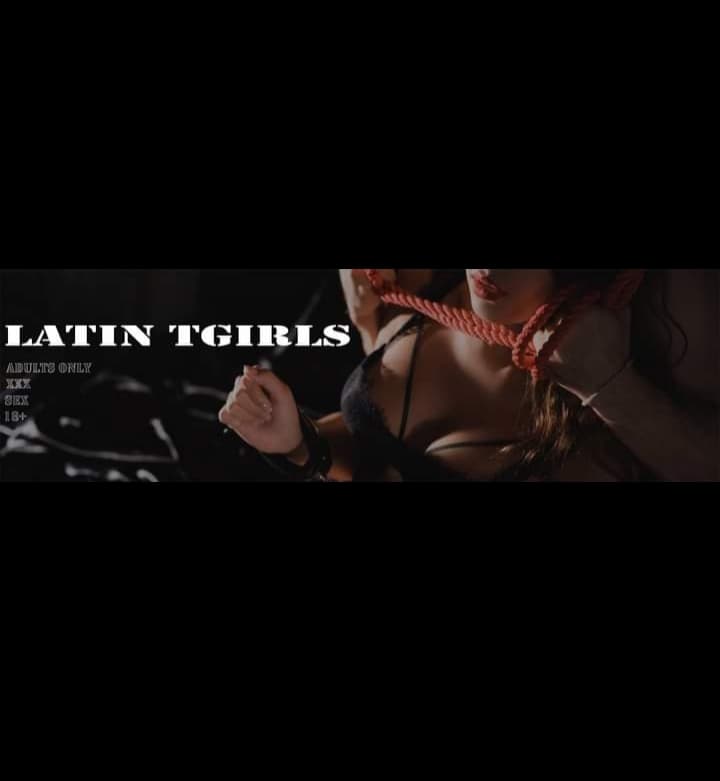 Latin Tgirls banner image