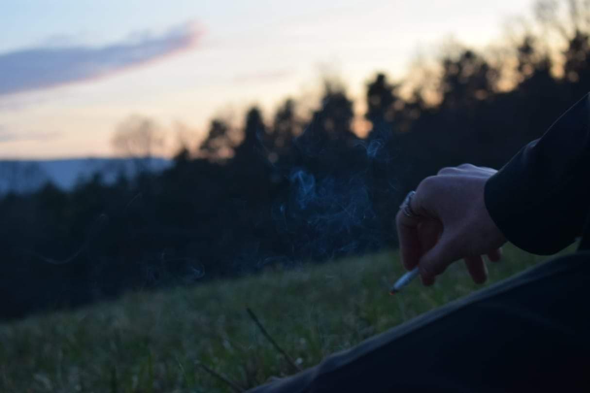 Jack Jackill banner image
