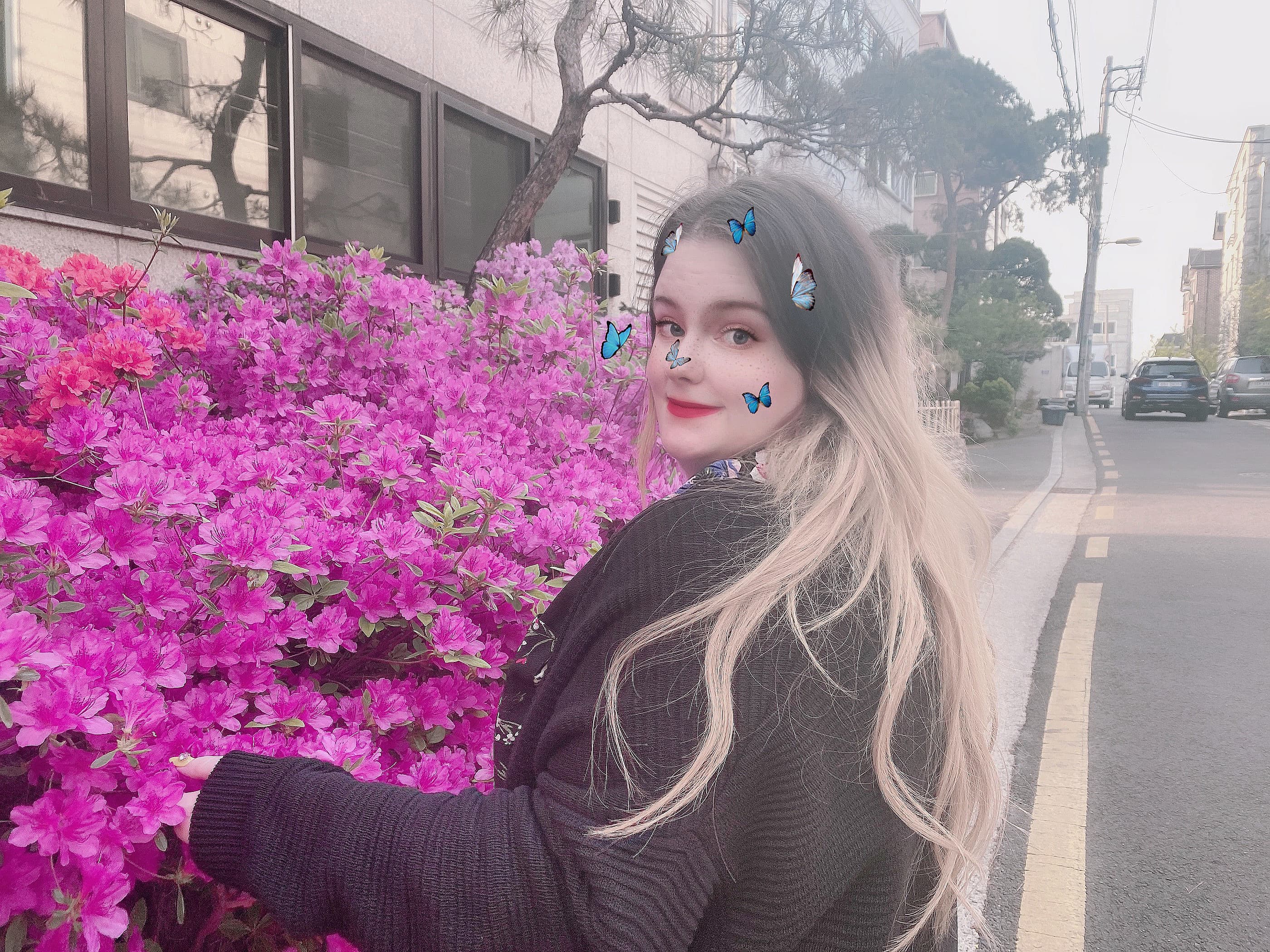 shelli banner image