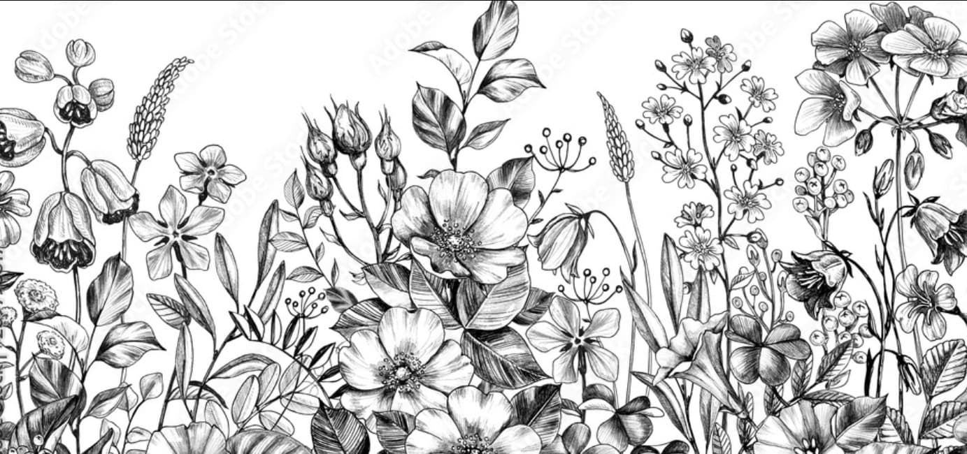 Lacy Marie banner image