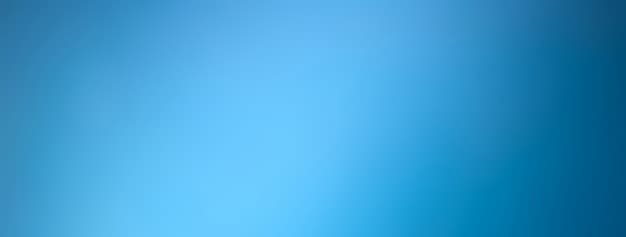 Stefan banner image