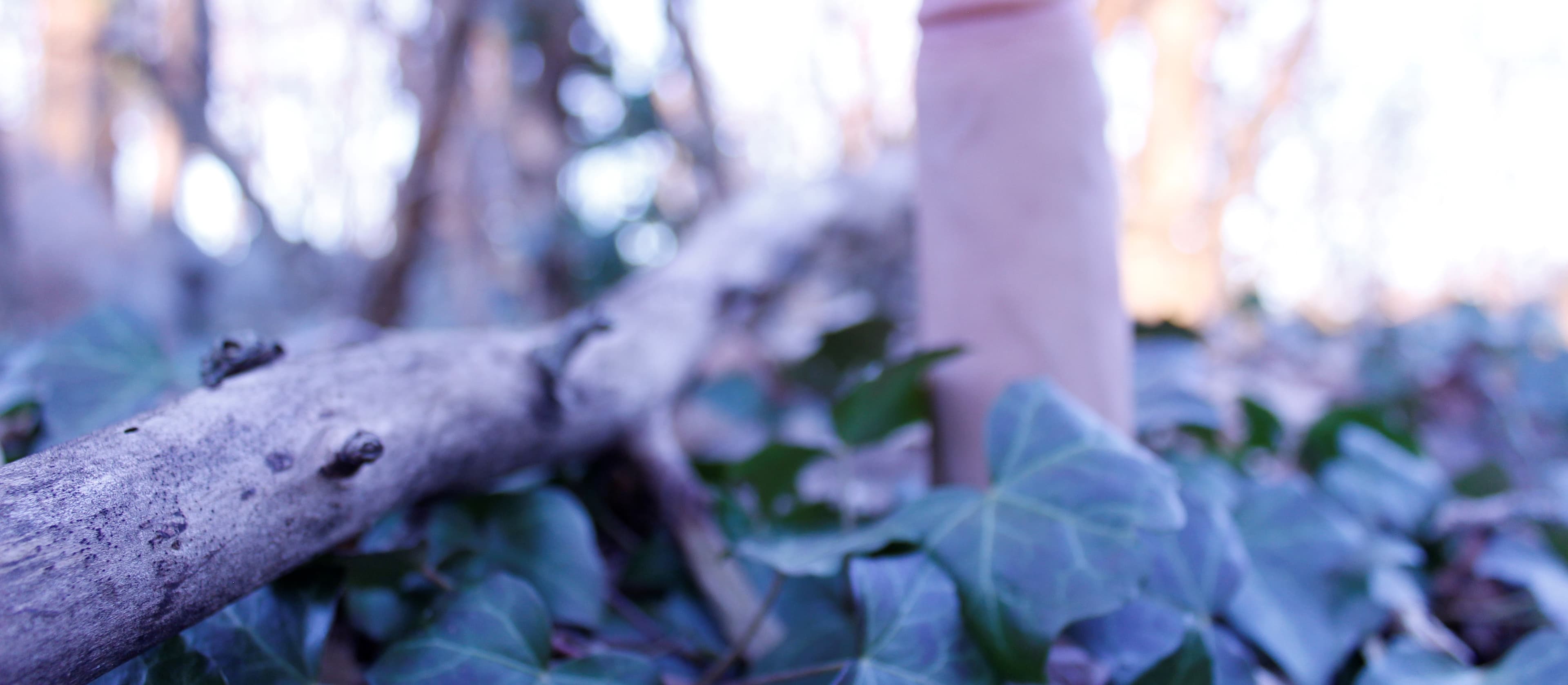 Gladpus banner image