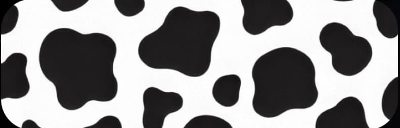 sunny ☀️ banner image