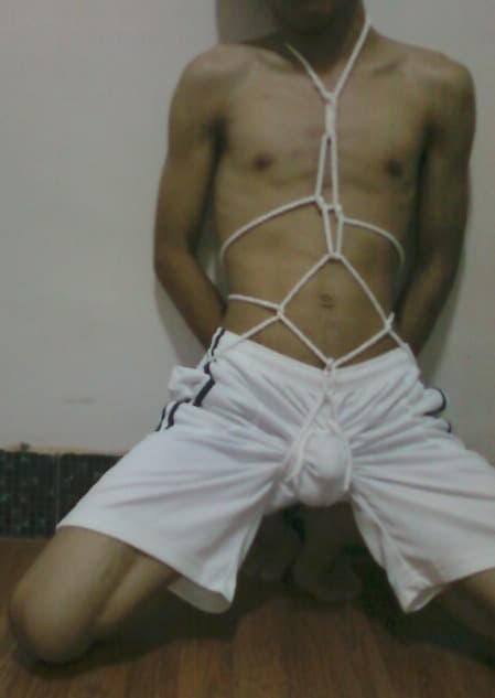 bdsm1726229 banner image