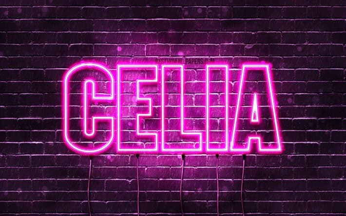 CeliaBBW banner image