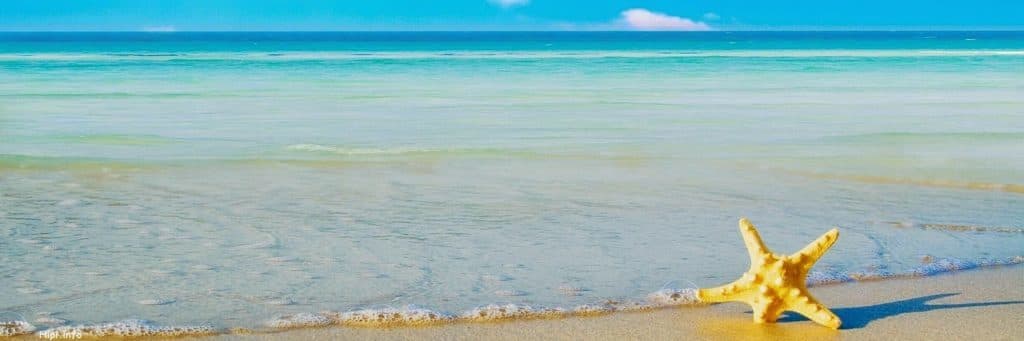 Online 🩵 Miki Moon謎萌💖 banner image