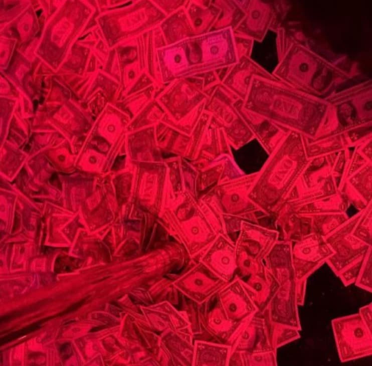 Therealprincess banner image