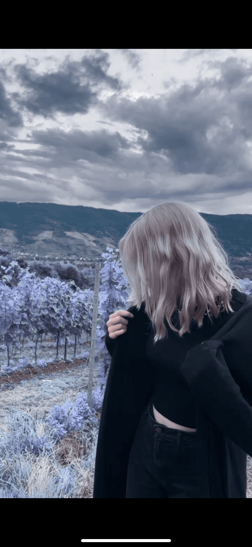 Zula banner image