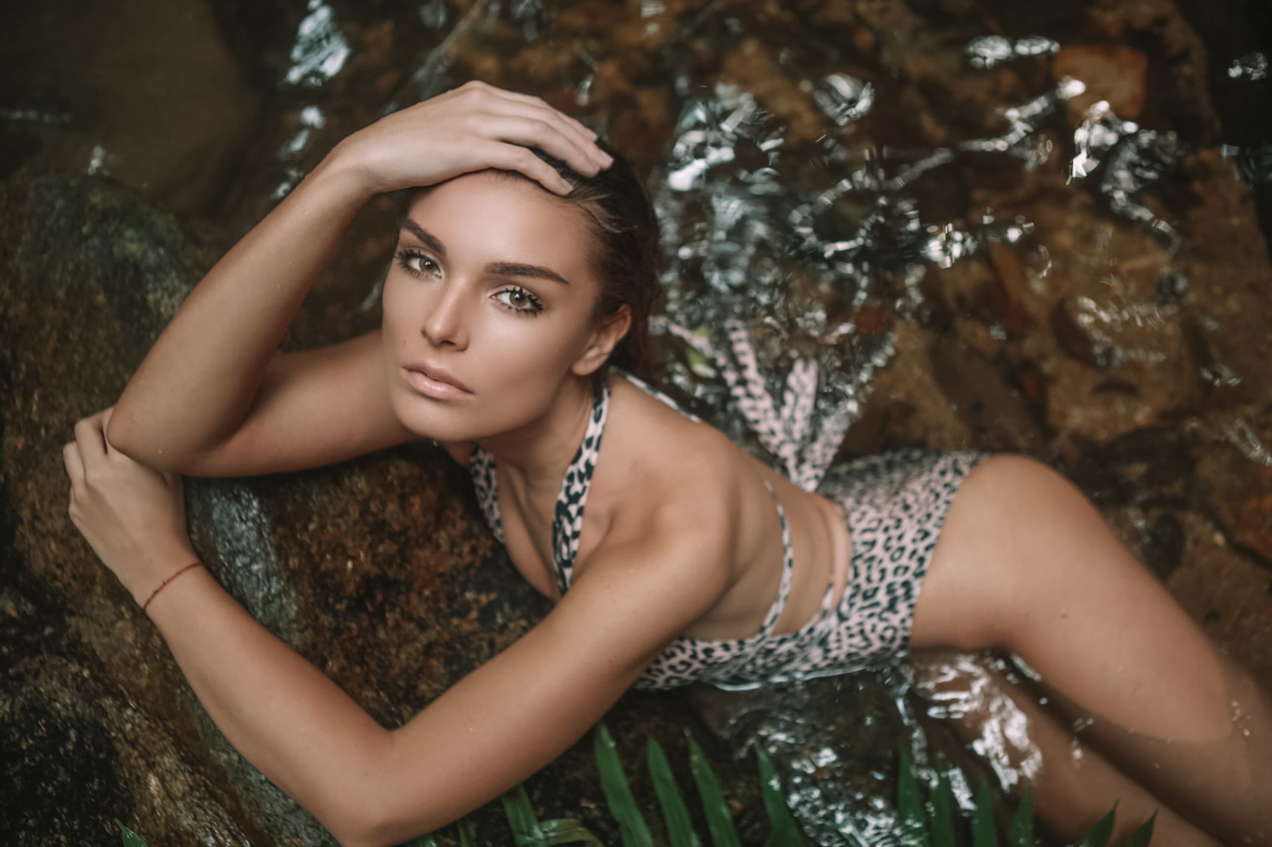 Cassandra banner image