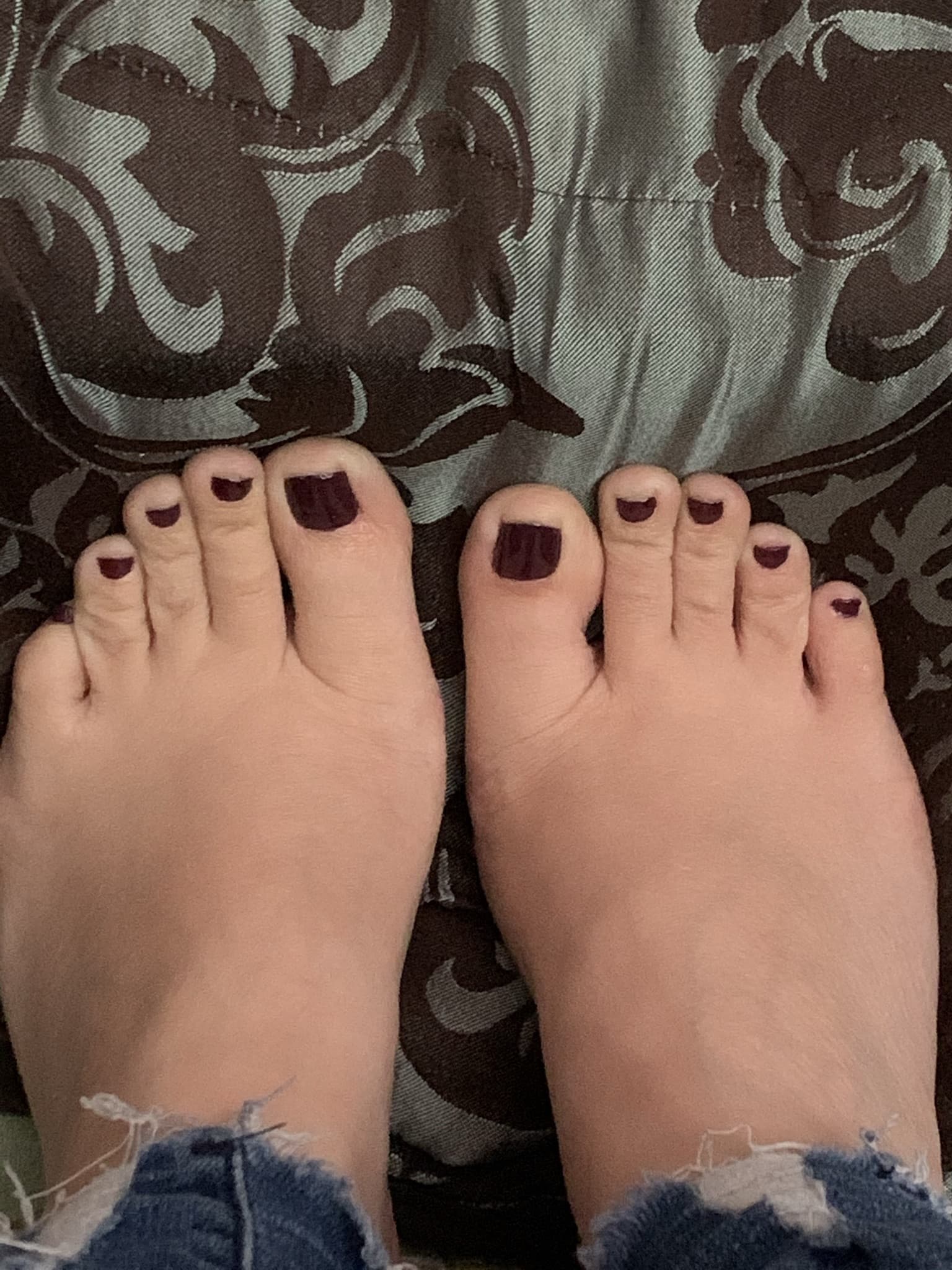 Ten Delicate Toes banner image