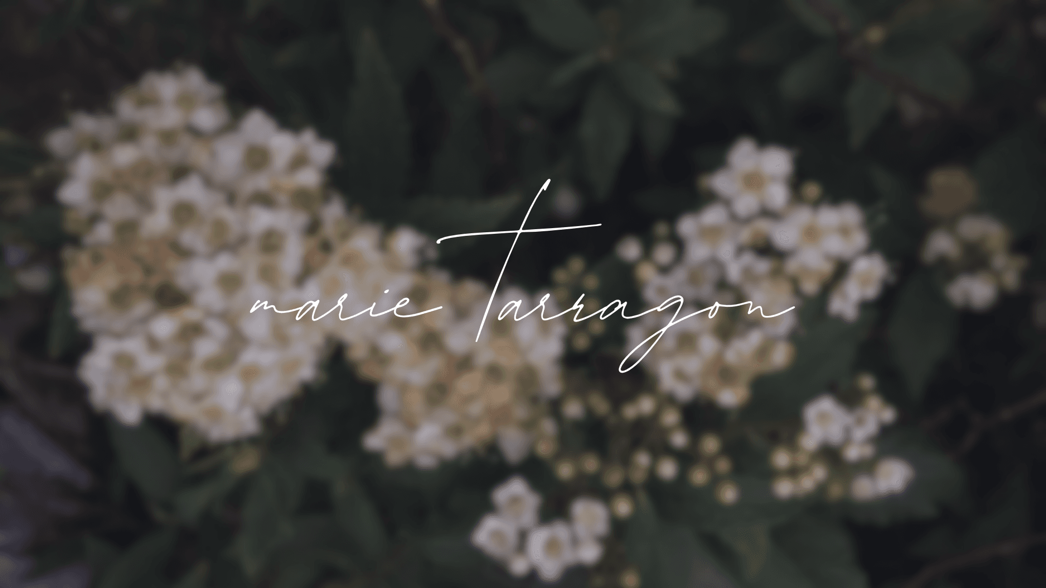 marie tarragon banner image