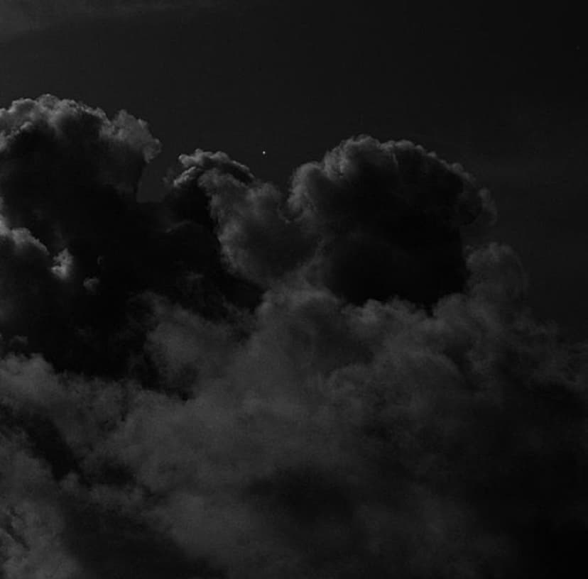 ljubicaxx banner image