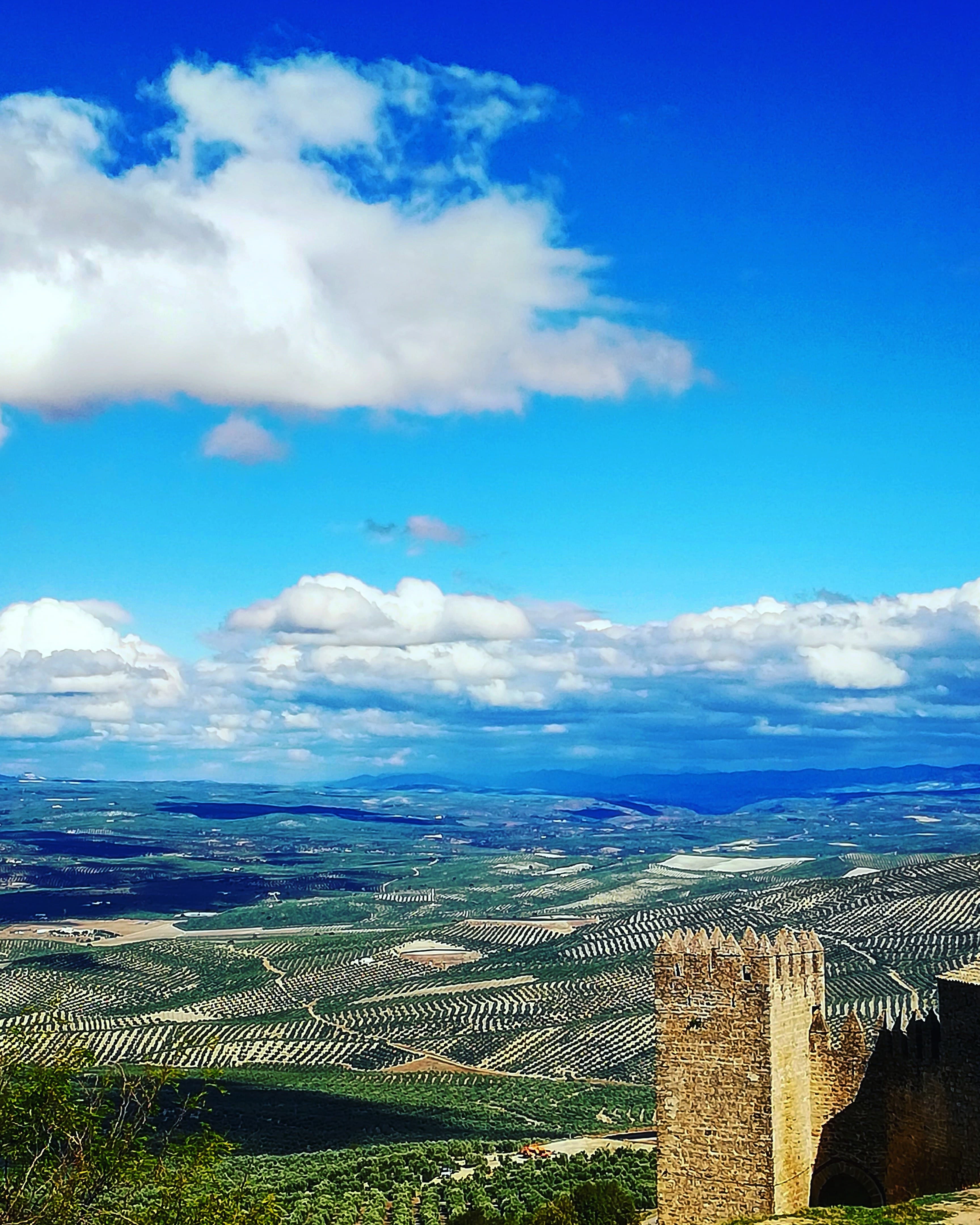 miguelalcazar banner image