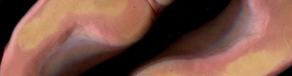 Myfeetyourfriend banner image