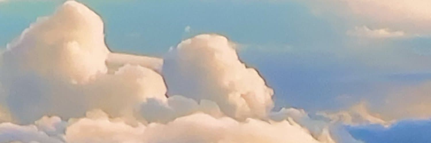 misterdonotdisturb banner image