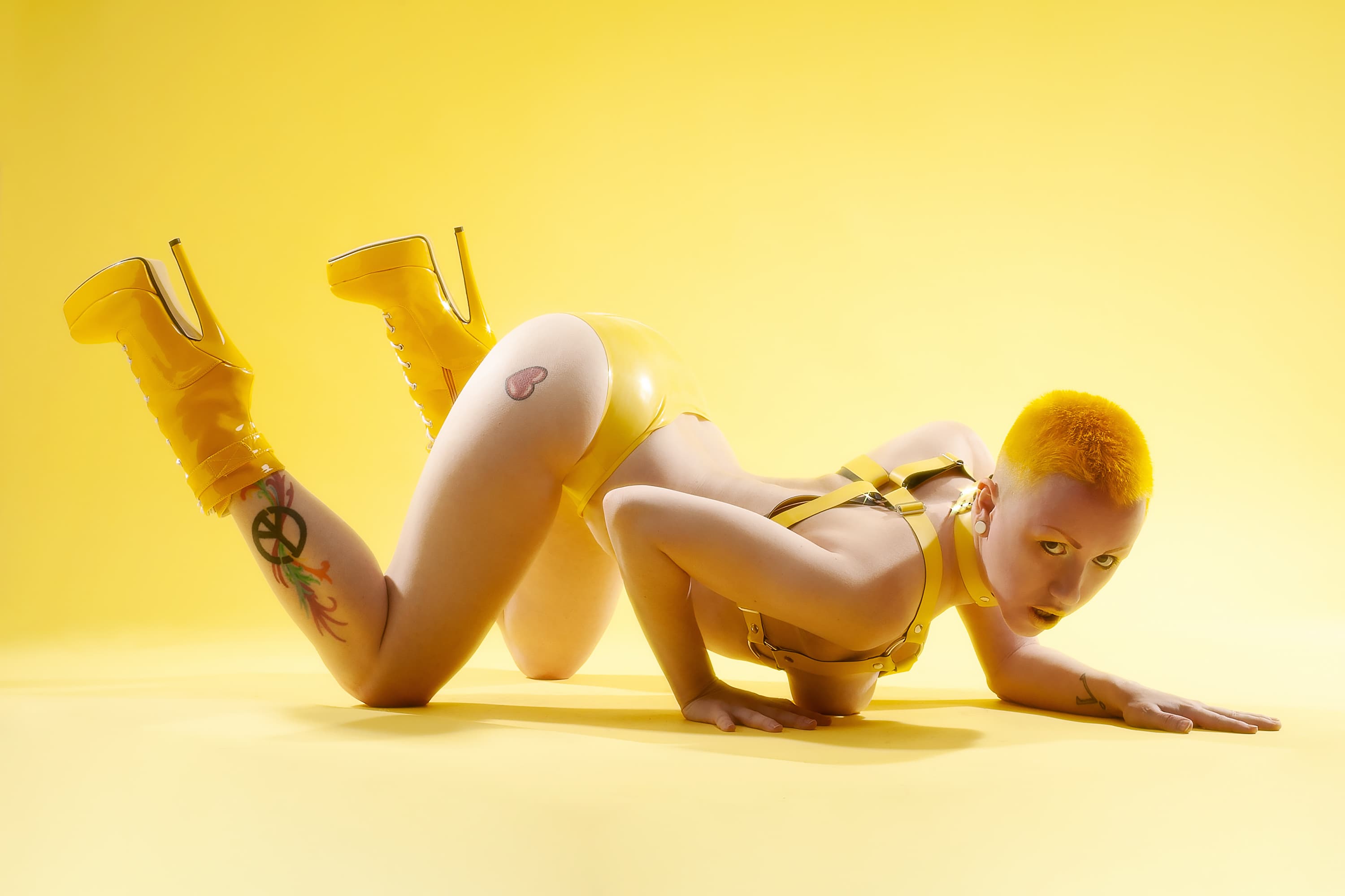 Dezi banner image