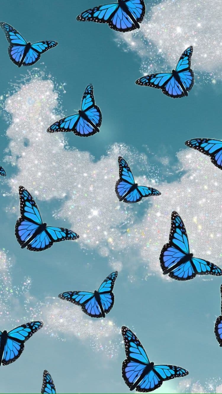 MariposaChiclosa🦋💙 banner image