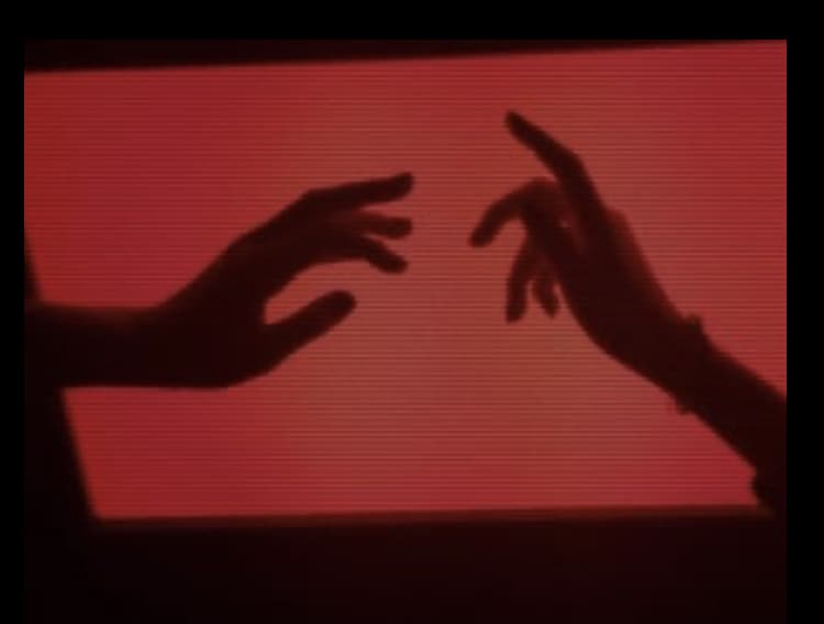 Lady harper rose banner image