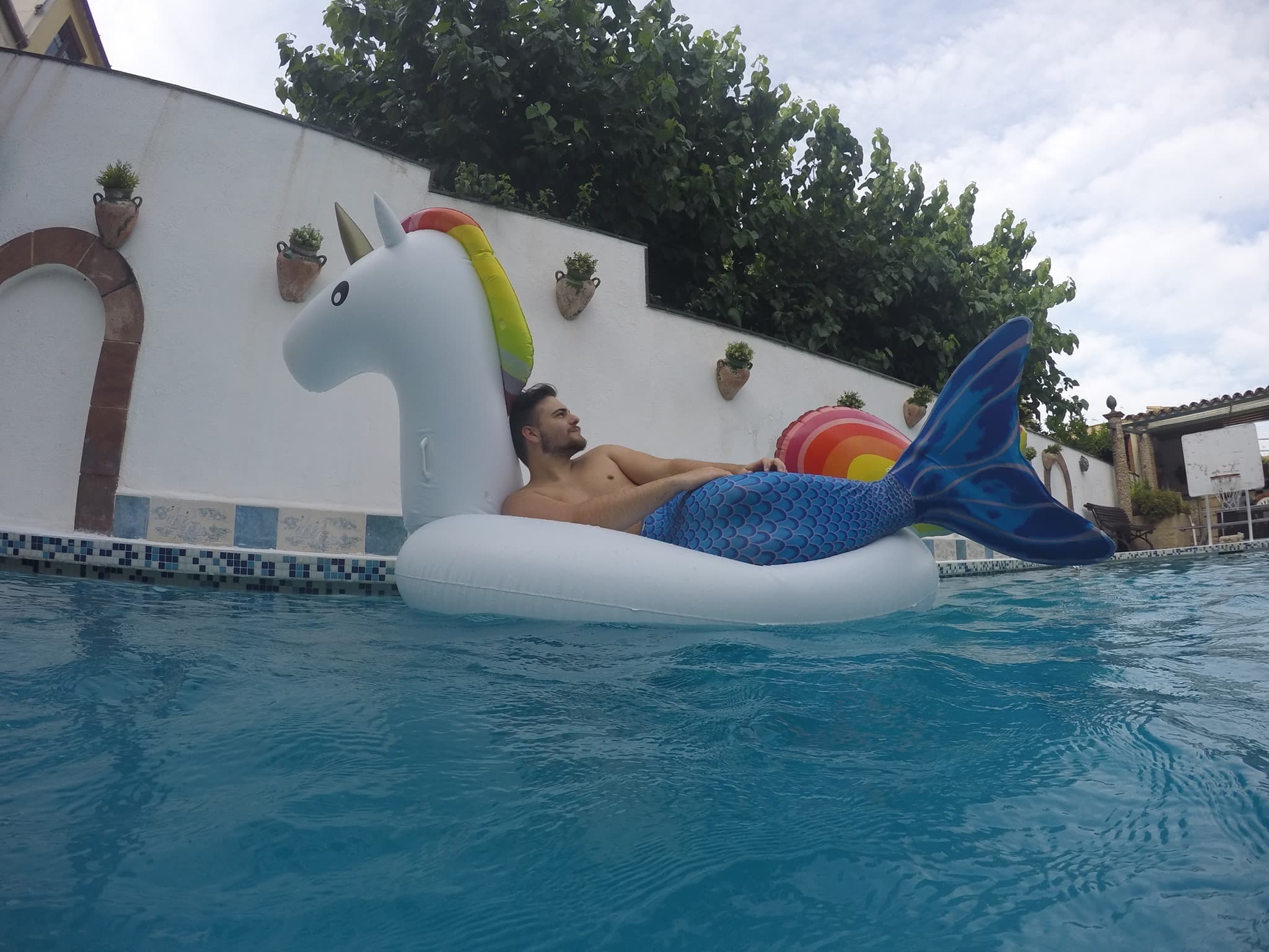Hot Carlos banner image