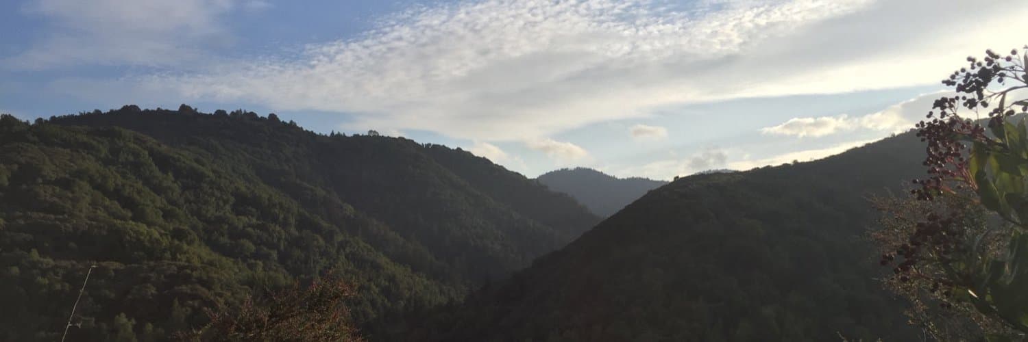 Dannylilman banner image
