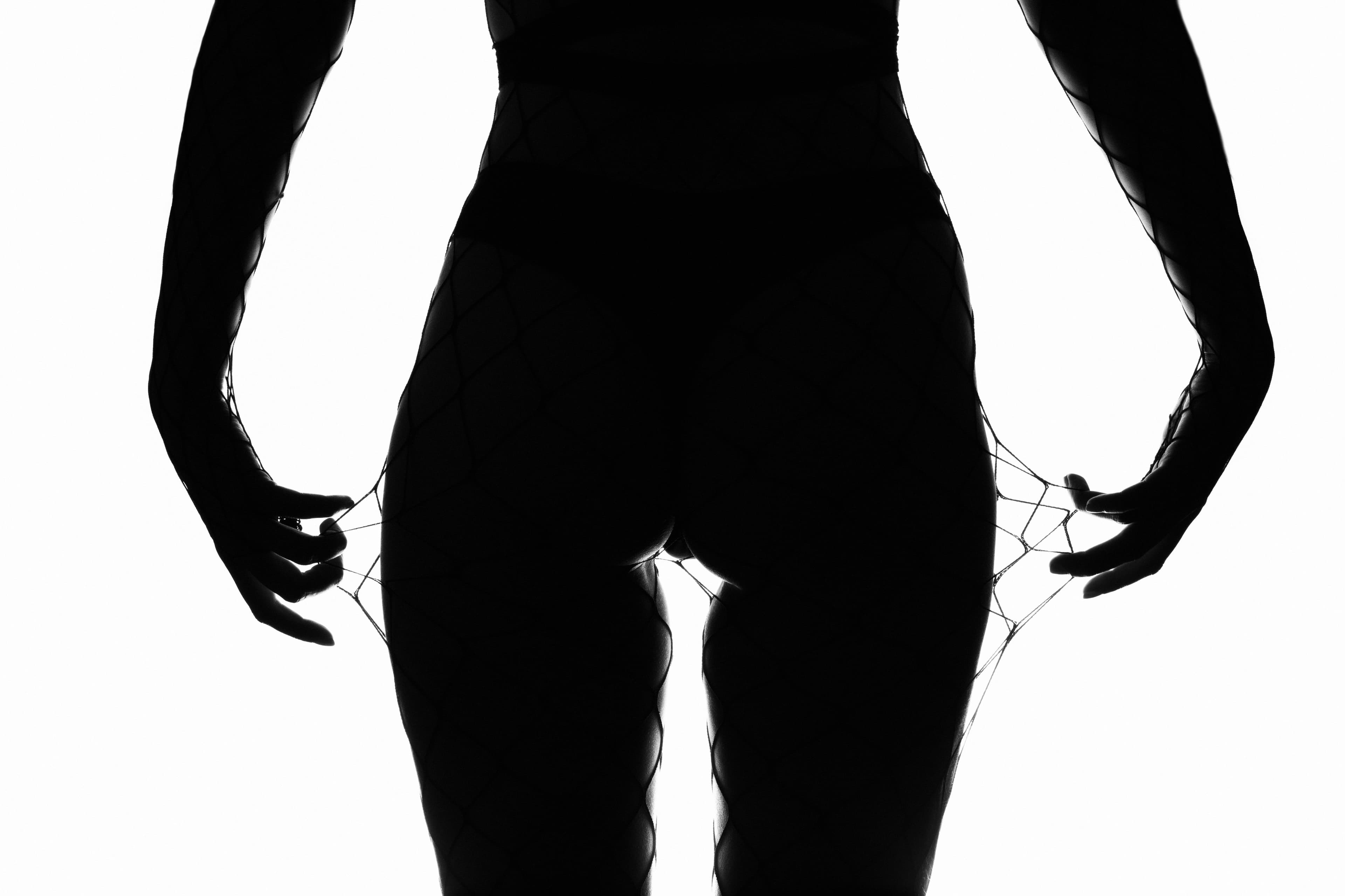 Cat banner image