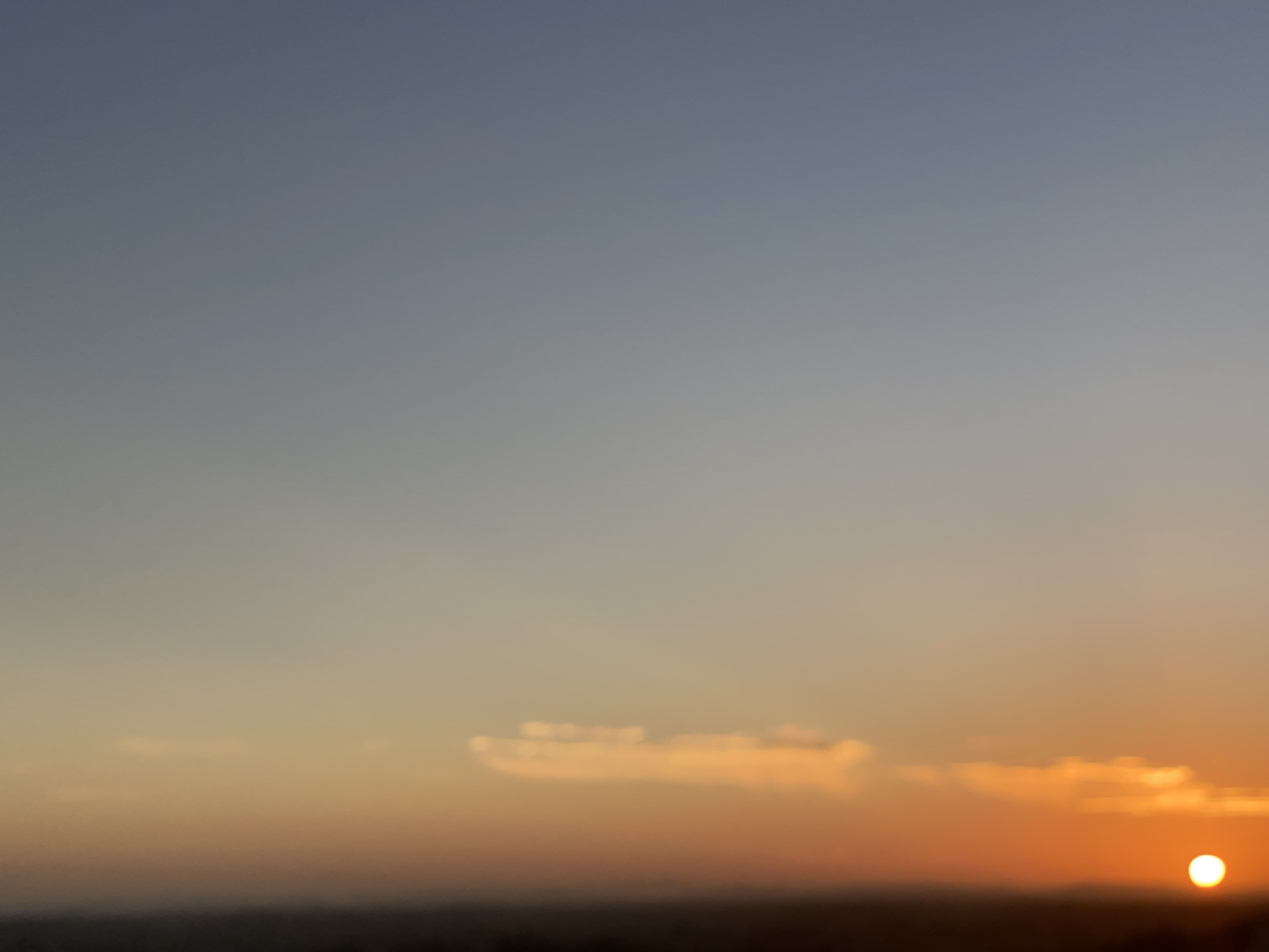 Paris Riggs banner image