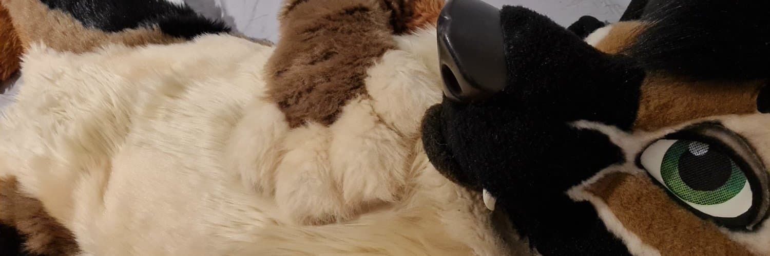 UnzippedShep banner image
