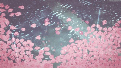 mochi 🌸 banner image