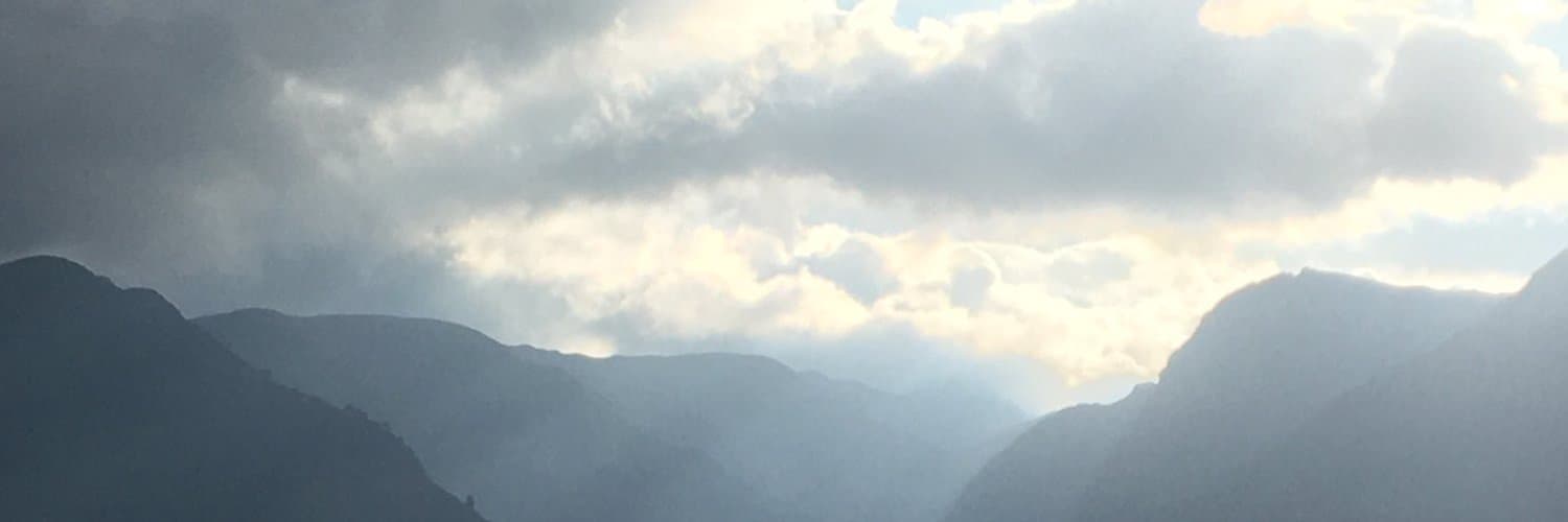 Joya banner image
