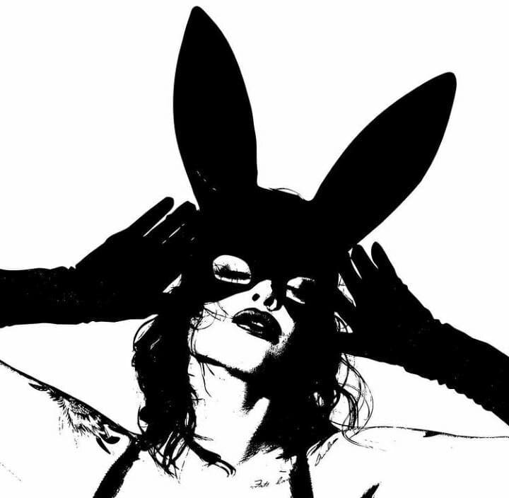 La chica Del antifaz banner image