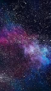 qu33nbi1ch banner image