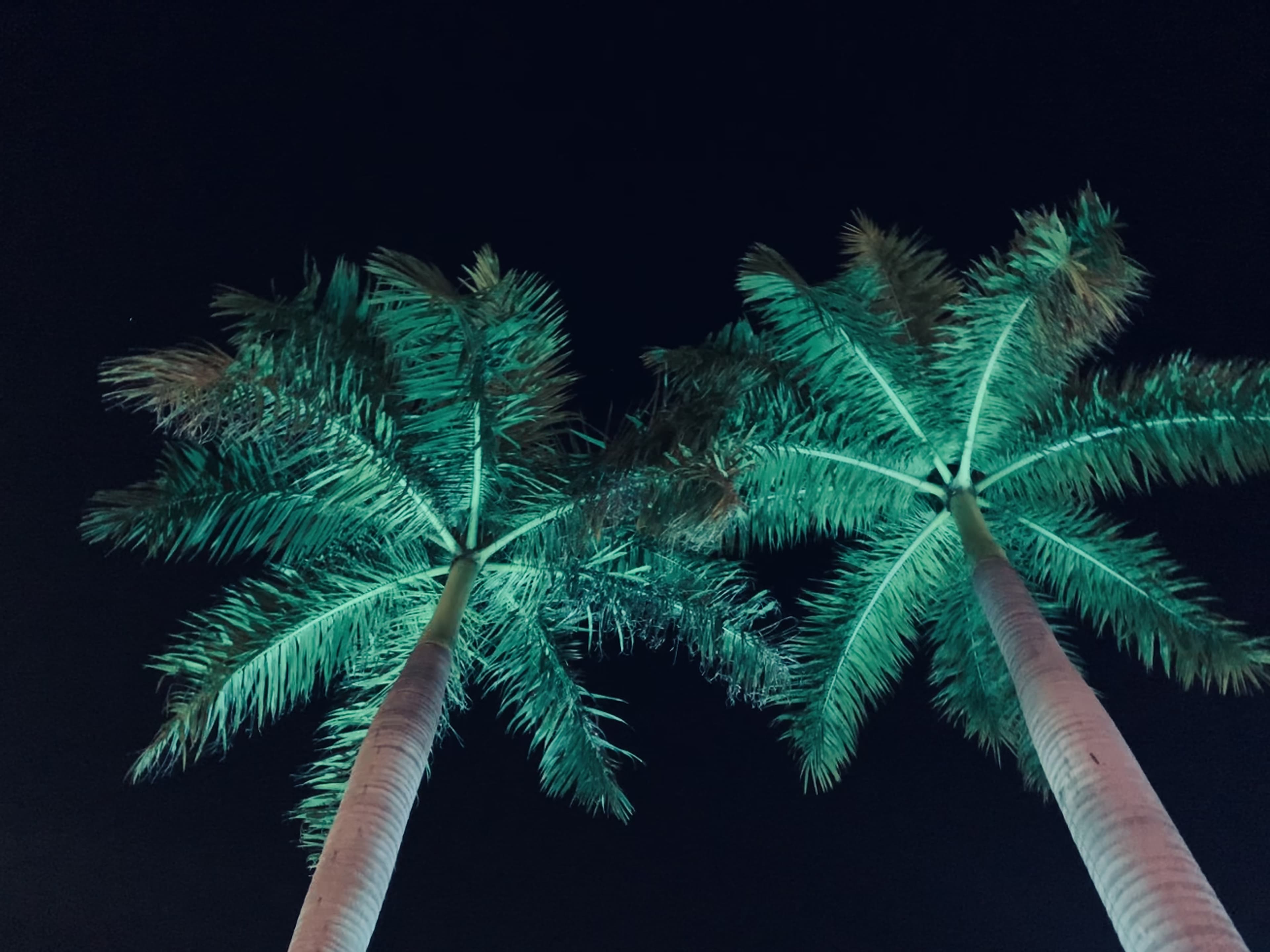 Cameron๐ banner image