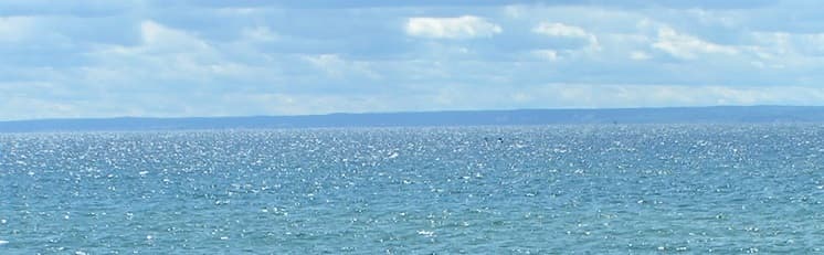 Olli VelMax banner image