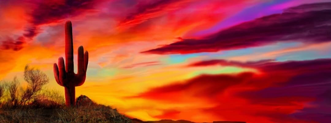 Ari Luxx banner image