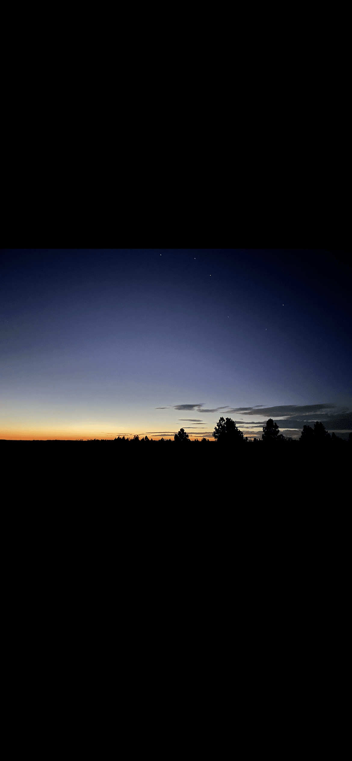 Emily Chase banner image