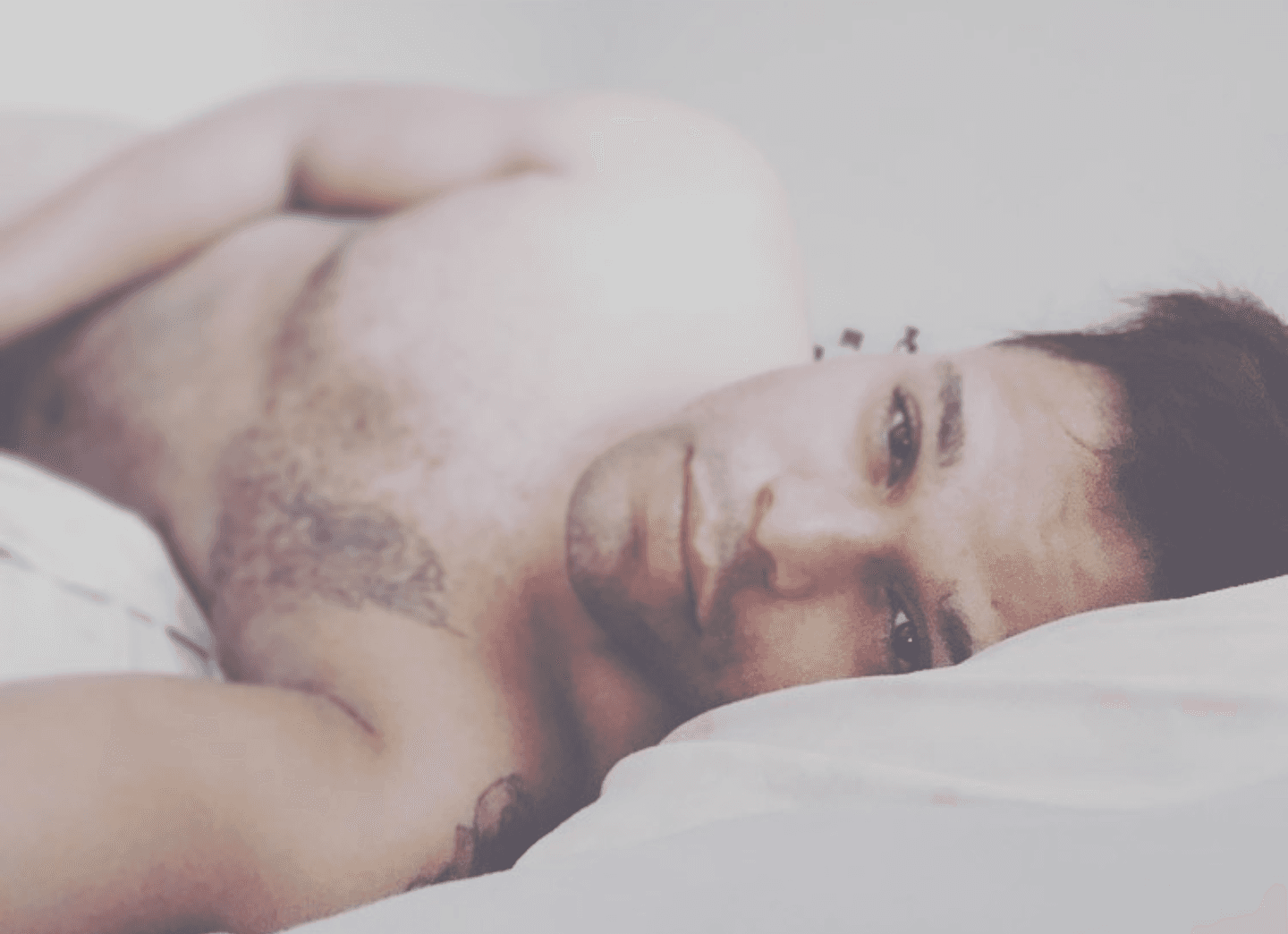 Anderson banner image